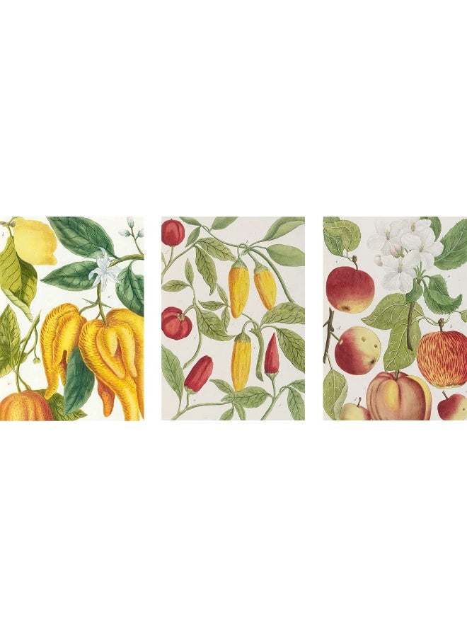 Botanical Art Notebook Set - Lemon, Chillis and Ap: 3 A5 Ruled Notebooks with Stitched Spines  - Image 3