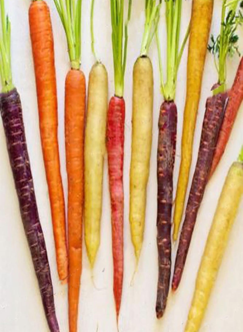 GGOOT 600Pcs Carrot seeds Delicious Non GMO Fresh Delicious Mixed Vegetable seeds Farm Supplies Multicolor - Image 4