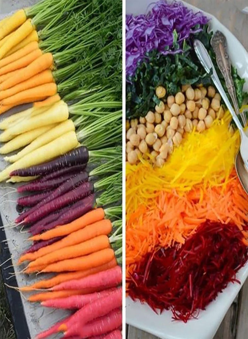 GGOOT 600Pcs Carrot seeds Delicious Non GMO Fresh Delicious Mixed Vegetable seeds Farm Supplies Multicolor - Image 3