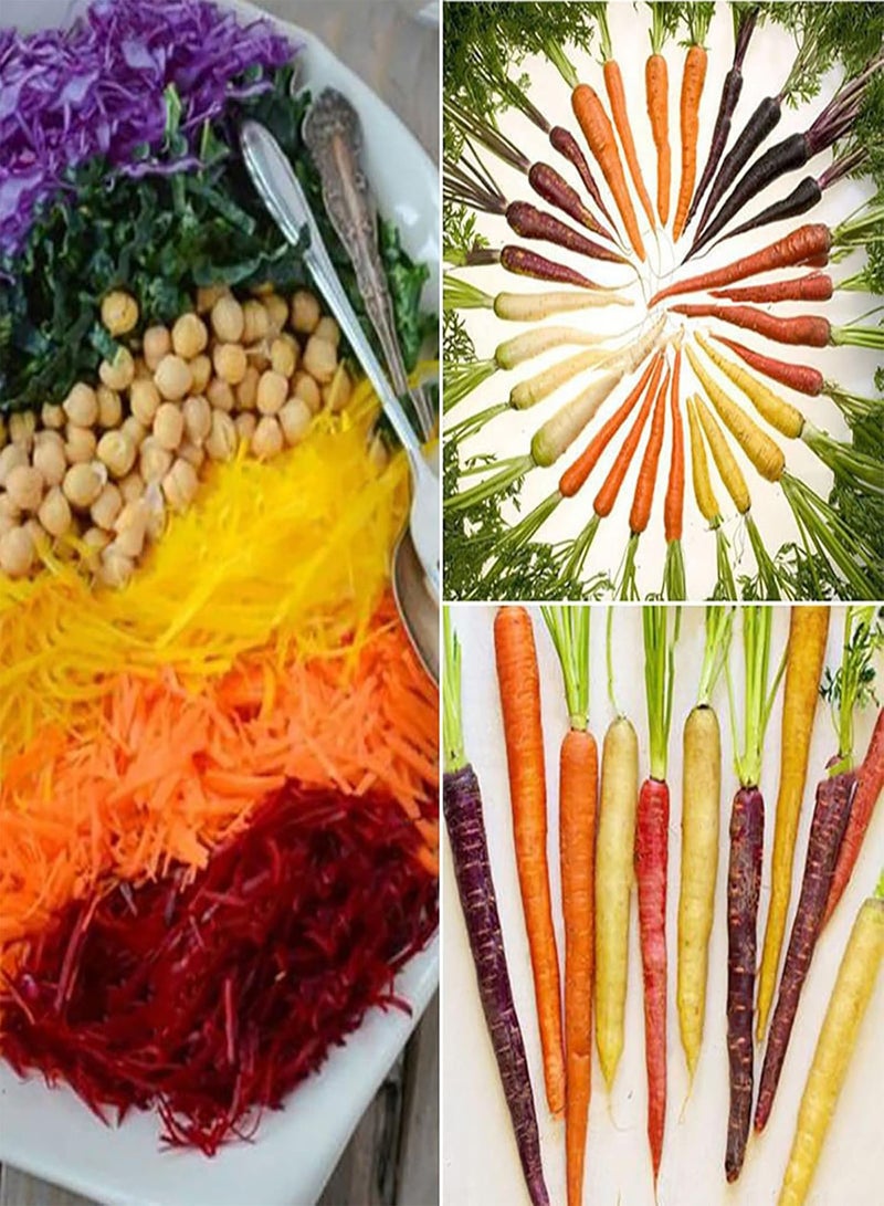 GGOOT 600Pcs Carrot seeds Delicious Non GMO Fresh Delicious Mixed Vegetable seeds Farm Supplies Multicolor - Image 2