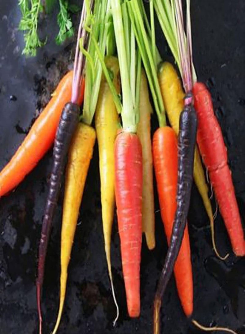 GGOOT 600Pcs Carrot seeds Delicious Non GMO Fresh Delicious Mixed Vegetable seeds Farm Supplies Multicolor - Image 5