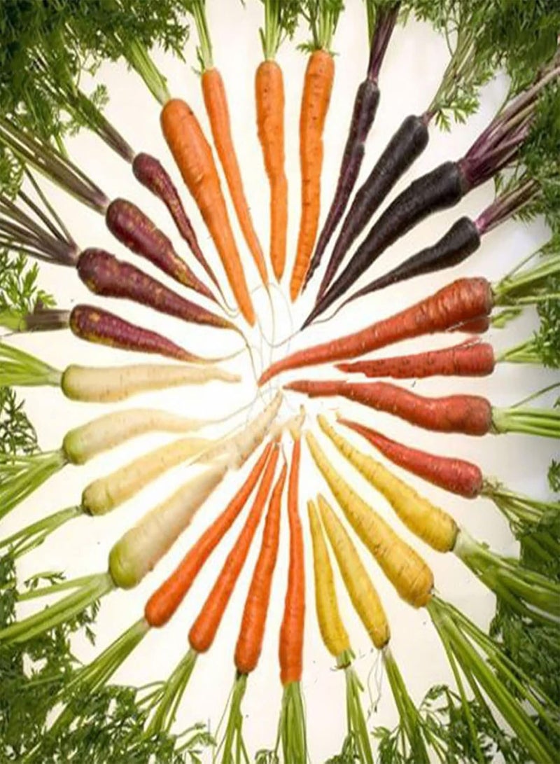 GGOOT 600Pcs Carrot seeds Delicious Non GMO Fresh Delicious Mixed Vegetable seeds Farm Supplies Multicolor - Image 1