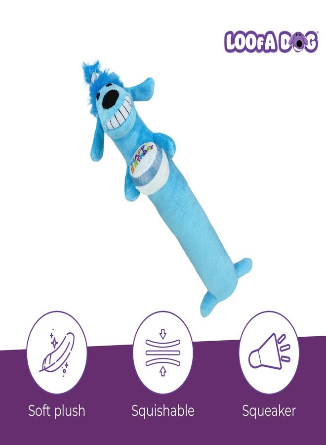 Multipet Loofa Dog Plush Toy w/ Birthday Hat - Squeaky Dog Toy for Dogs - Soft Plush - Stuffed Animal Dog Toys for Playing (1 Count, 12”, Random Color Surprise) - Image 3
