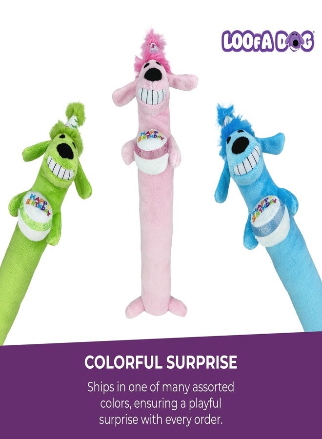 Multipet Loofa Dog Plush Toy w/ Birthday Hat - Squeaky Dog Toy for Dogs - Soft Plush - Stuffed Animal Dog Toys for Playing (1 Count, 12”, Random Color Surprise) - Image 4