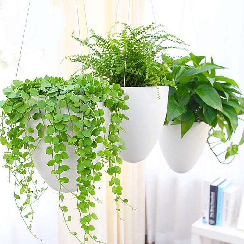 Sungmor 3 Pack Self Watering Hanging Planters Unique Eggshell Shape Indoor Outdoor Hanging Pots for Plants Modern White Plastic Flower Pots Home Decor Hanging Basket