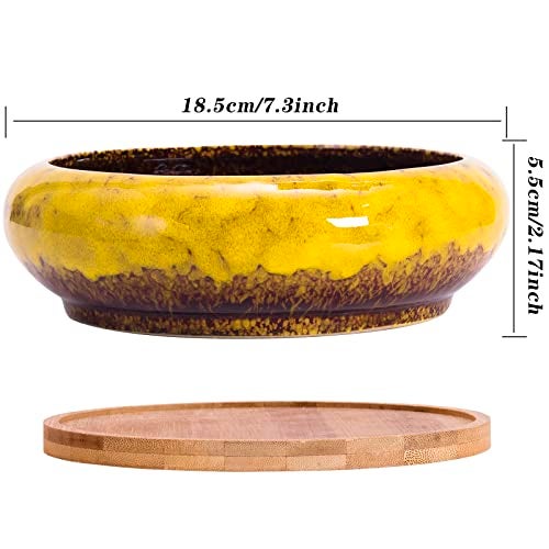 ARTKETTY Succulent Pots - 7.3 Inch Large Succulent Planters with Drainage Ceramic Bonsai Pots with Bamboo Tray, Shallow Planters for Indoor Cactus Plants Decorative Flower Plant Container - Image 3