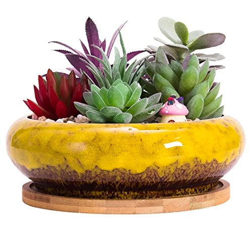 ARTKETTY Succulent Pots - 7.3 Inch Large Succulent Planters with Drainage Ceramic Bonsai Pots with Bamboo Tray, Shallow Planters for Indoor Cactus Plants Decorative Flower Plant Container - Image 1