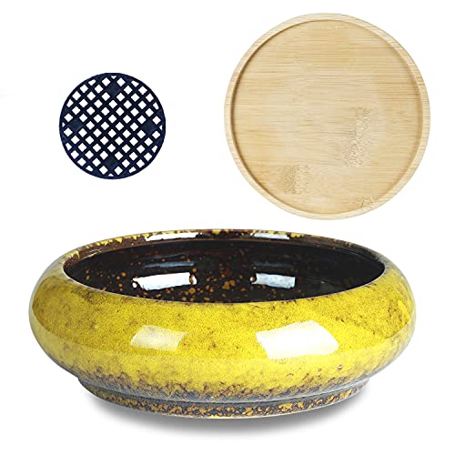 ARTKETTY Succulent Pots - 7.3 Inch Large Succulent Planters with Drainage Ceramic Bonsai Pots with Bamboo Tray, Shallow Planters for Indoor Cactus Plants Decorative Flower Plant Container - Image 4