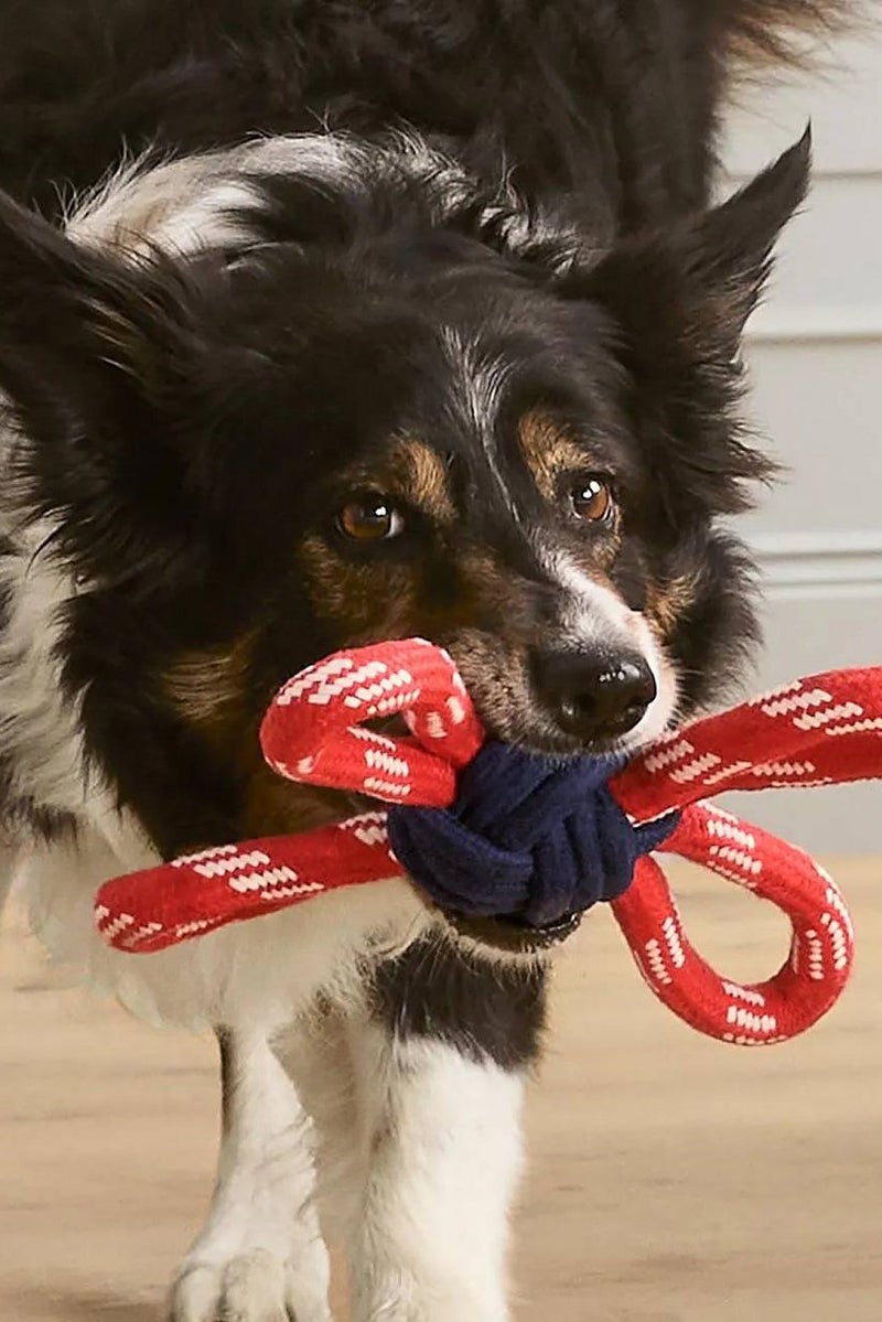 Tchibo Play Rope For Dog, Navy and Red - Image 1