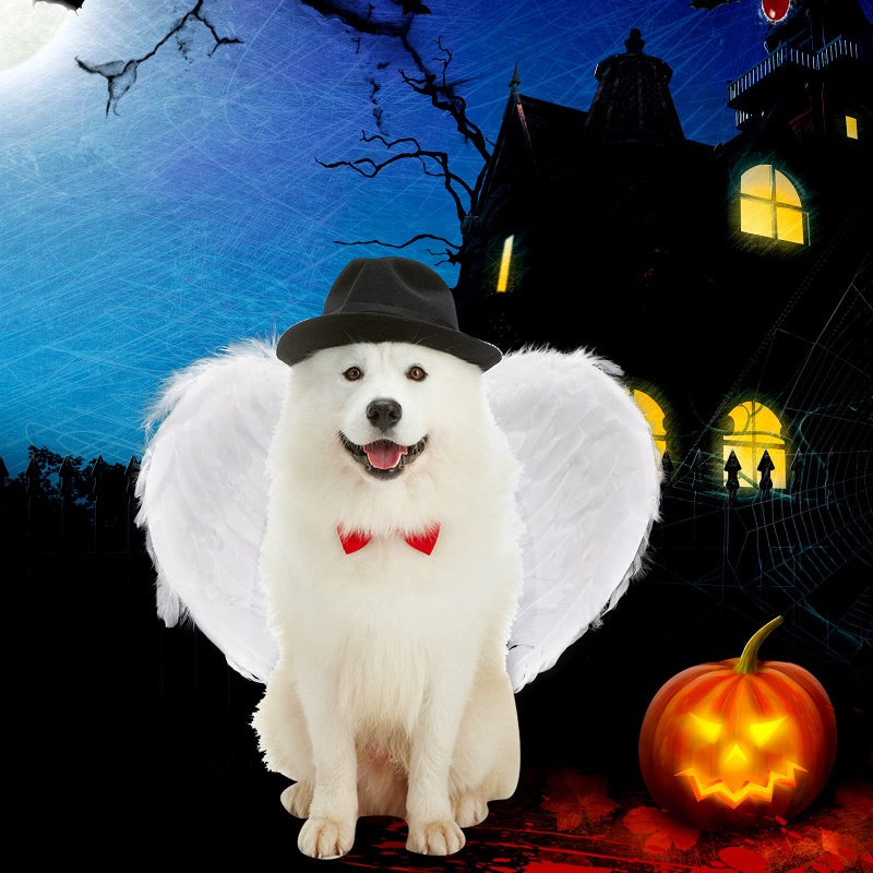 SUMERSHA Angel Wings White Feather Wings and Halo Headband for Cosplay Party Costume Halloween Dress Up Props Christmas Decoration - Image 5