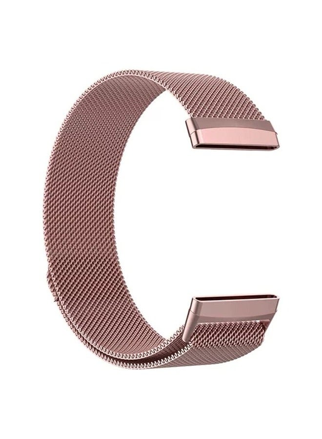 فينسوك فيتبيت فيرسا 3 مسحوق الذهب ميلانو شبكة حزام - Image 3