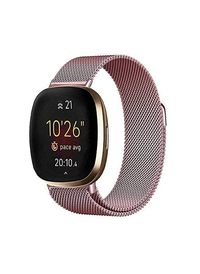 فينسوك فيتبيت فيرسا 3 مسحوق الذهب ميلانو شبكة حزام - Image 1