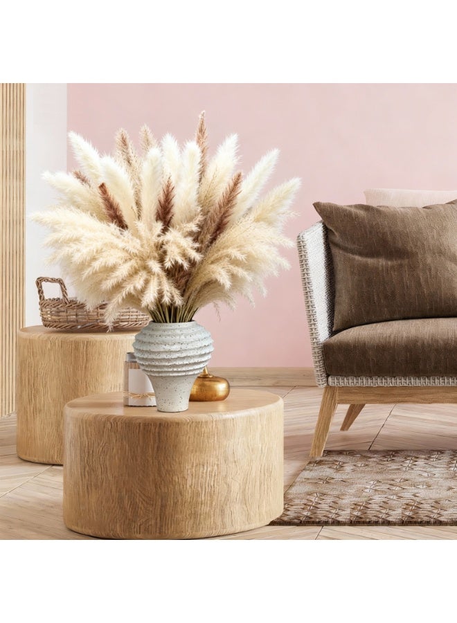 MirageBotanics Natural Dried Pampas Grass Bouquet 60Pcs: Brown Gray White Reed Pampas with Vase,Dry Plants Dry Flowers Arrangements Decorations for Home Room Office Party - Image 5