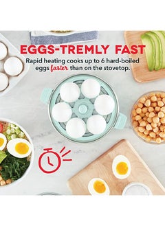 Dash Dash Rapid Egg Cooker Aqua  - Image 3