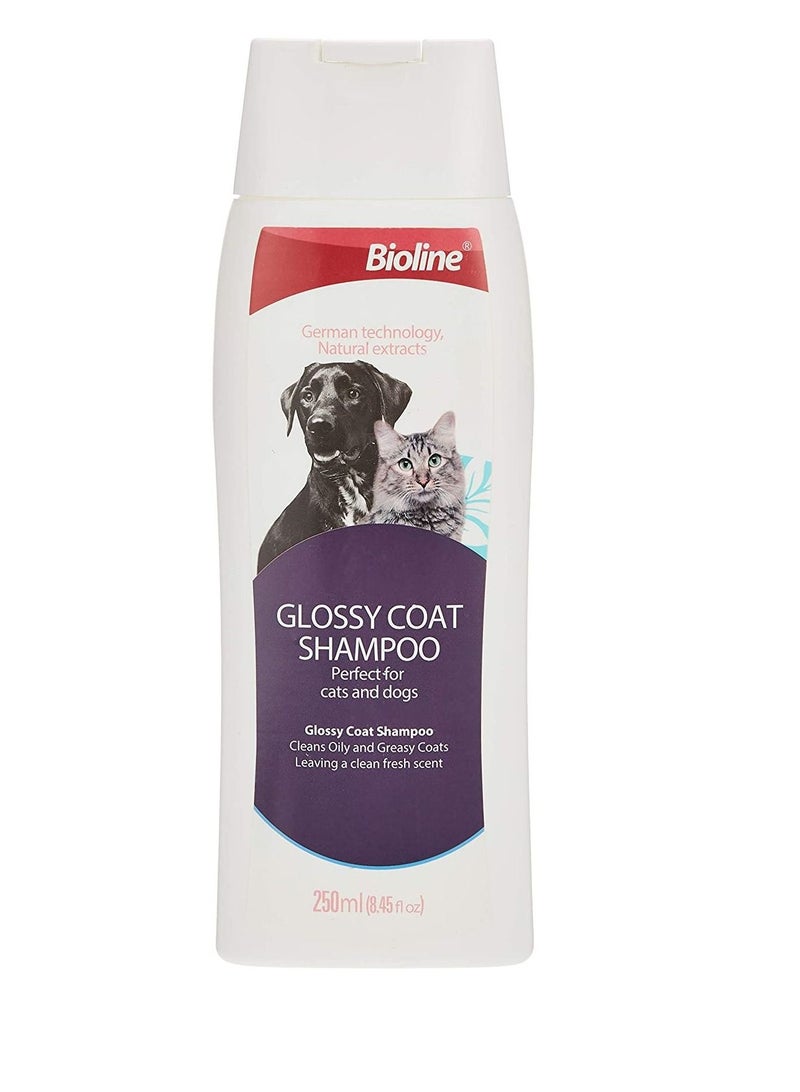 Bioline شامبو بيولين للشعر اللامع للكلاب والقطط 250 مل - Image 1