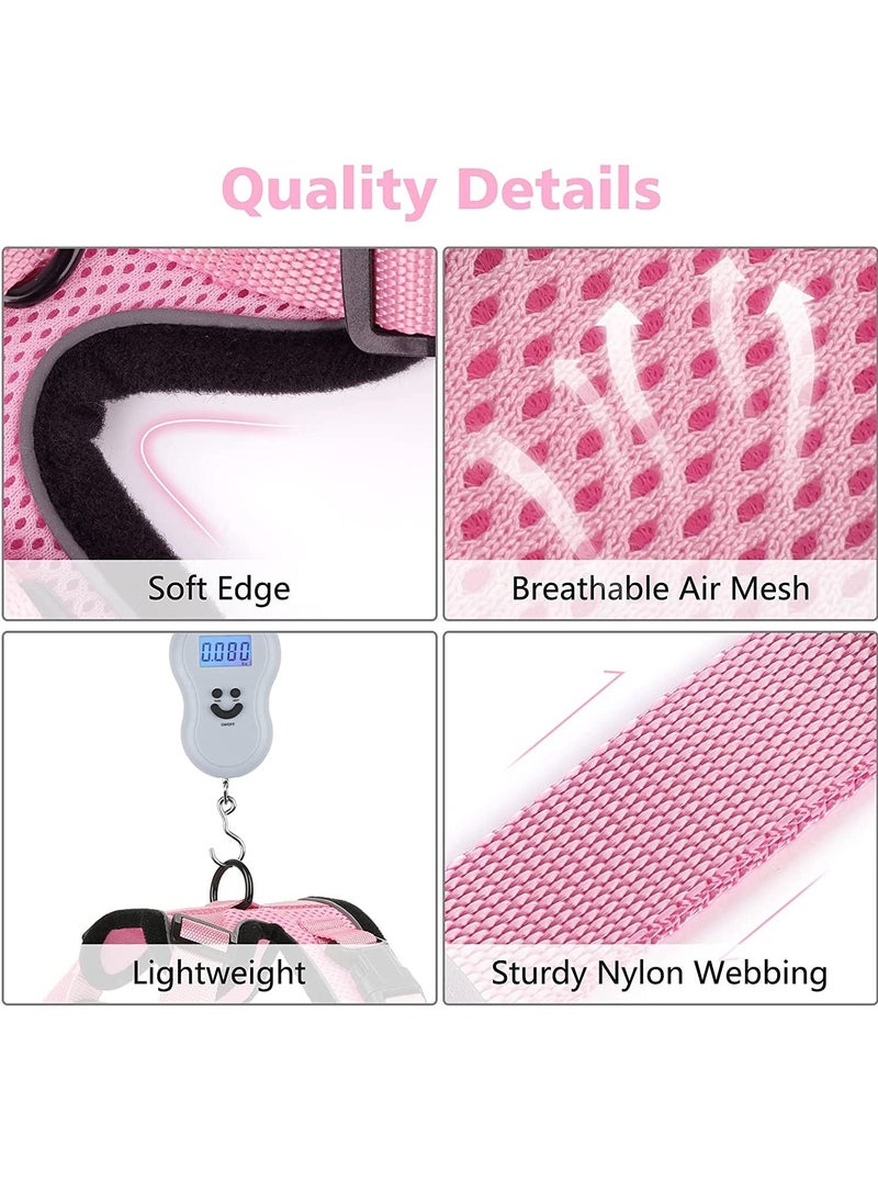 Generic - Cat Harness and Leash Set Escape Proof Safe Adjustable Kitten Vest Harnesses for Walking Easy Control Soft Breathable Mesh Jacket with Reflective Strips for Cats - Image 1
