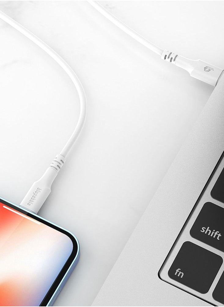 blupebble - PowerFlow MFi USB-C to Lightning Cable 1.2 Meter - Image 1