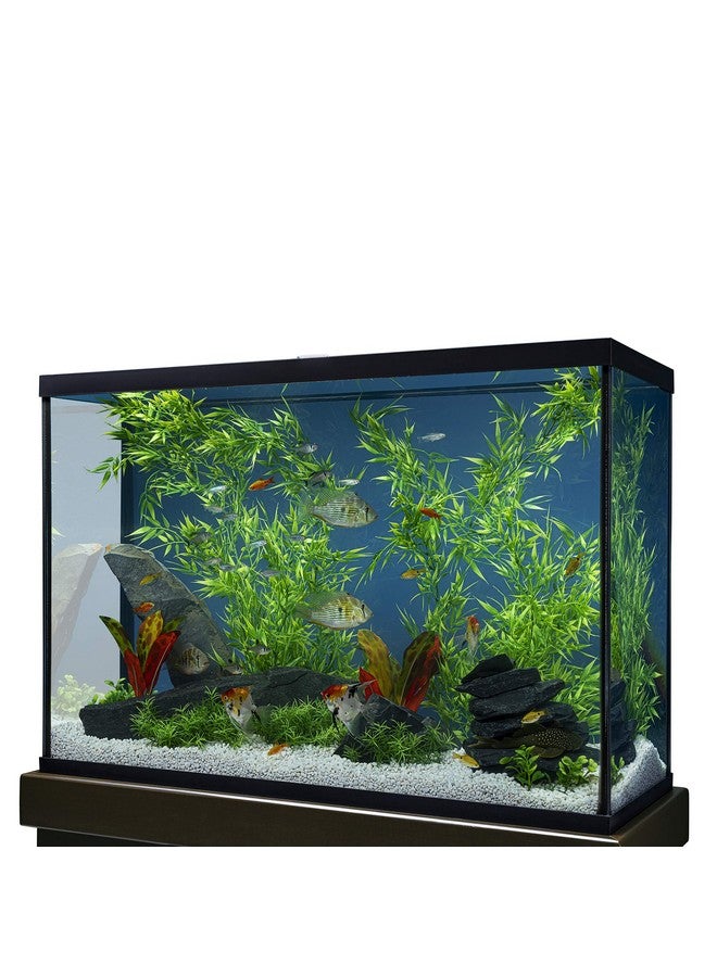 مارين لاند الخيزران 3 أقدام، ديكور لأحواض السمك والحدائق الزجاجية، الموديل: 47431905481 - Image 4