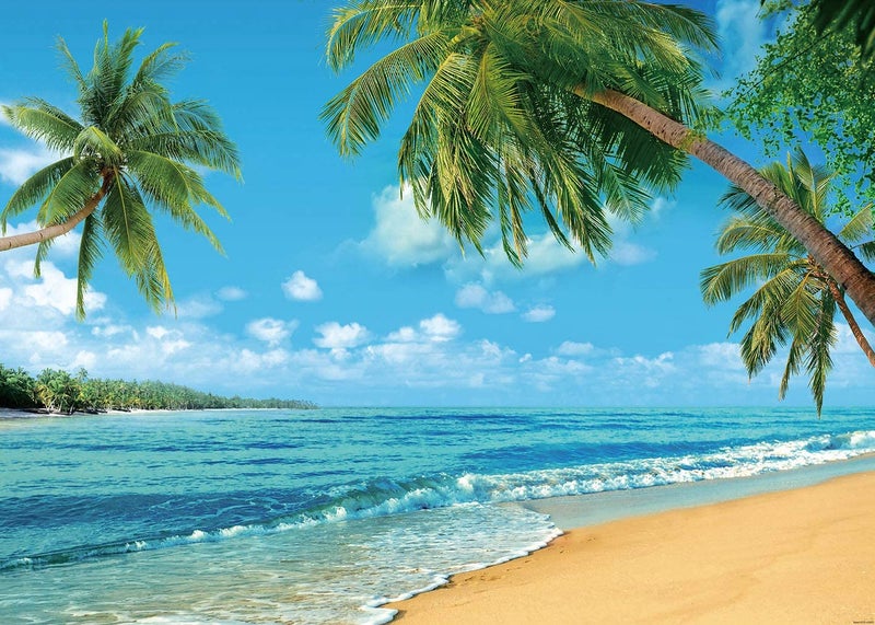 INRUI RUINI Polyester Tropical Beach Photography Backdrop Summer Palm Trees Blue Sea Sky Sunshine Luau Themed Party Decorations Banner 7x5FT - Image 4