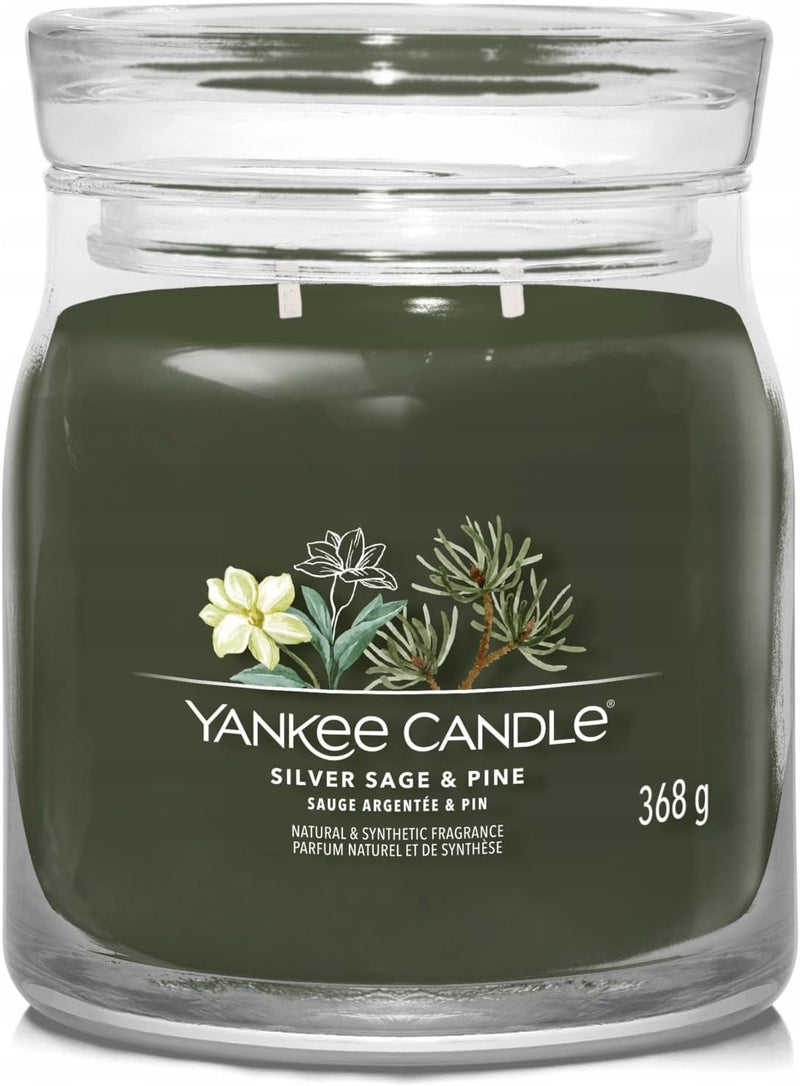 YANKEE CANDLE Signature Scented Jar Candle-368g | M Silver Sage & Pine Fragrance | Double Wick candle - Image 1