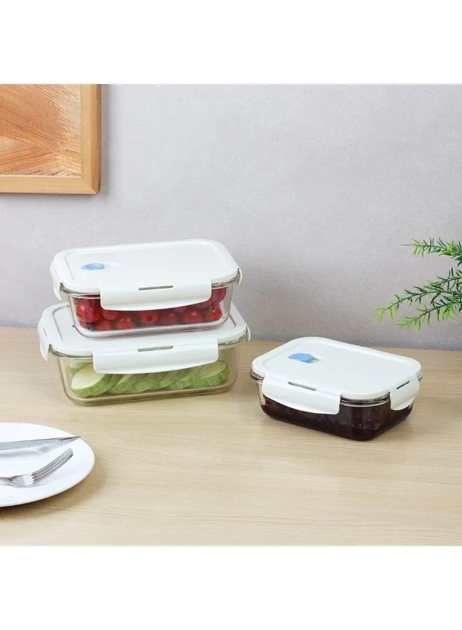 DANUBE HOME Chef’s Delight Glass Lunch Box Set 640ml 1040ml 1520ml Airtight