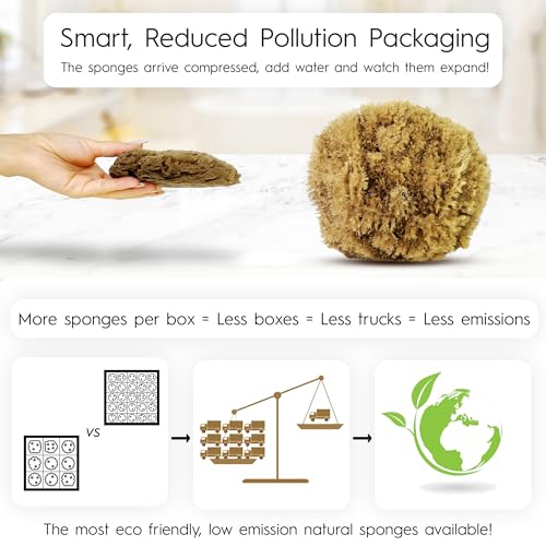 Naroa Exfoliating Natural Sponge for Shower Bath Sea Loofah for Healthy Skin Unbleached Bathing Body Scrubber Puff Sustainable Plastic Free Small - Image 5