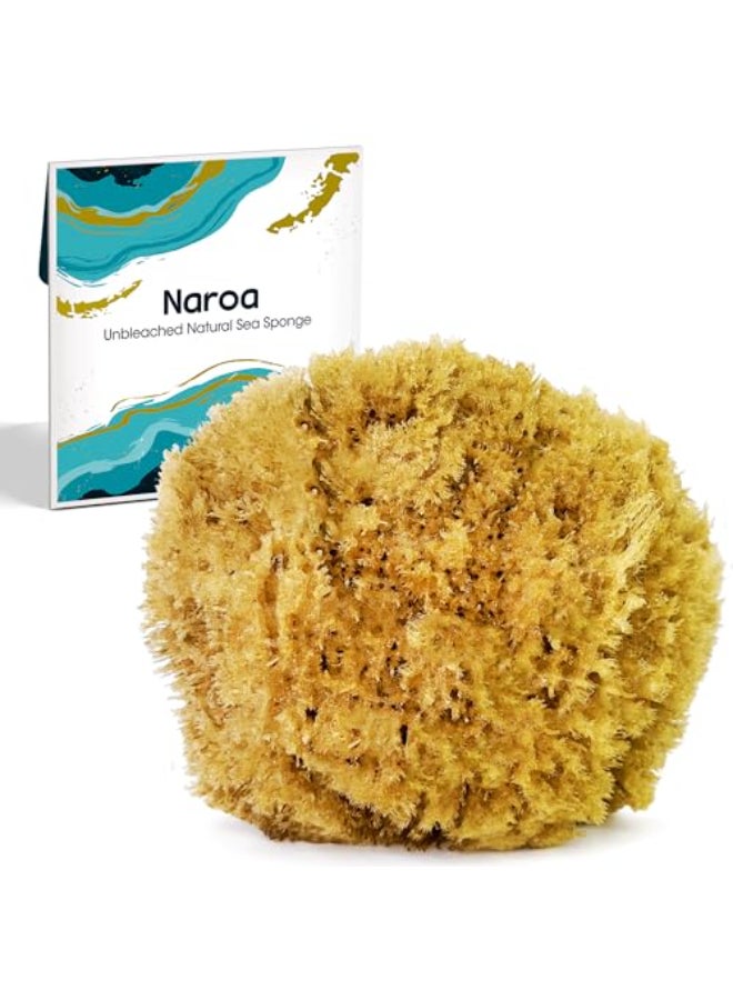 Naroa Exfoliating Natural Sponge for Shower Bath Sea Loofah for Healthy Skin Unbleached Bathing Body Scrubber Puff Sustainable Plastic Free Small - Image 1