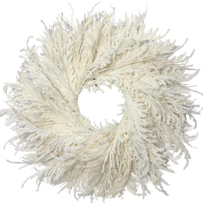 HipTree 28 Inch Spring Boho White Flocked Cypress Wreath Outdoor,Neutral Pampas Grass Wreaths - Handmade Faux Farmhouse Cedar Wreath for Front Door,All-Season Year-Round Ins Home DÃ©cor - Image 1
