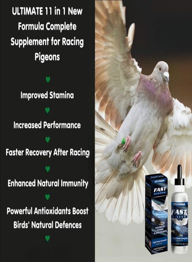 Vitofarma Fast Pigeon Supplement Liquid for Pigeon - Vitamin Minerals for Birds 60 ml - Image 3