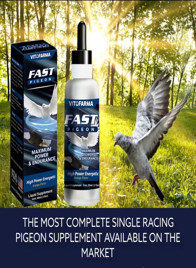 Vitofarma Fast Pigeon Supplement Liquid for Pigeon - Vitamin Minerals for Birds 60 ml - Image 2