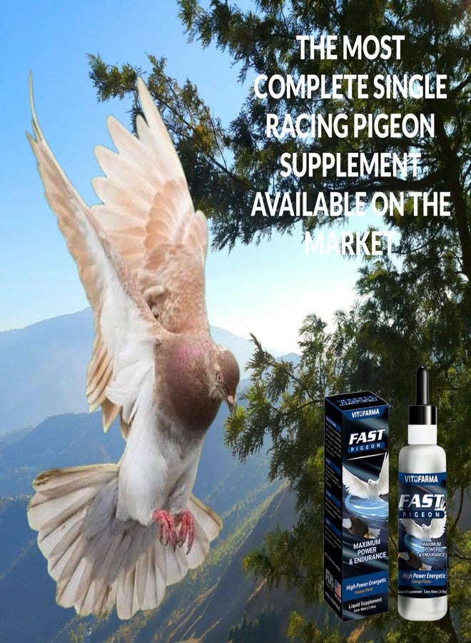 Vitofarma Fast Pigeon Supplement Liquid for Pigeon - Vitamin Minerals for Birds 60 ml - Image 4