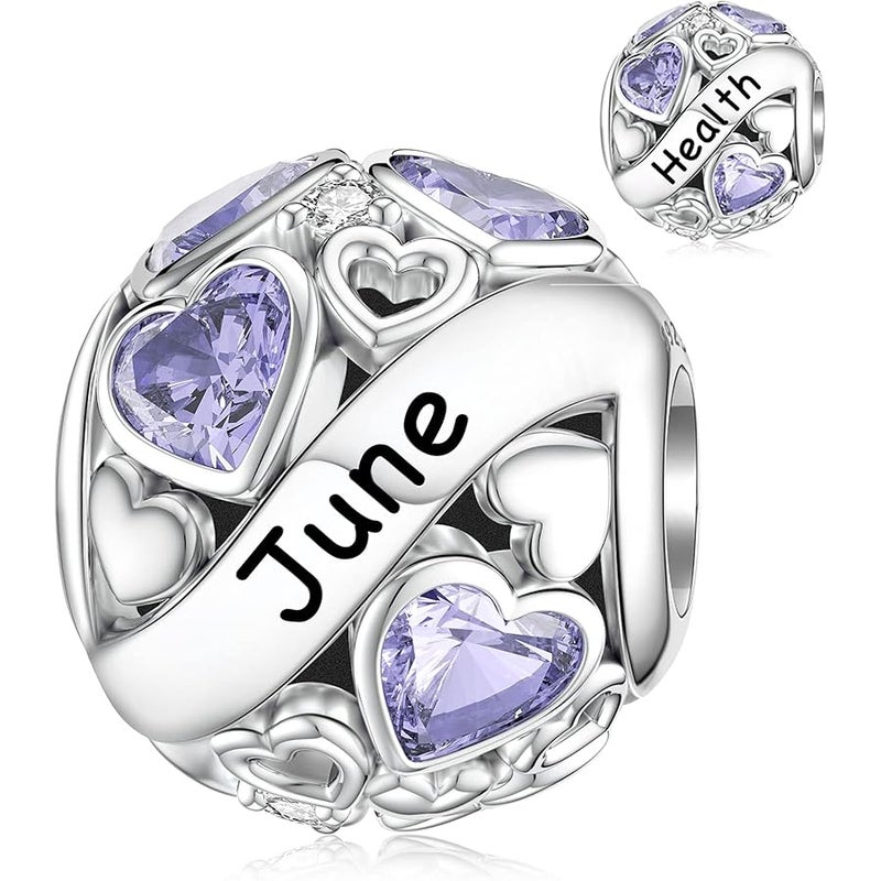 DALARAN Birthstone Charms for Pandora Charms Bracelet 925 Sterling Silver Birthday Mother's Day Chrismas Jewelry Gift for Women - Image 1