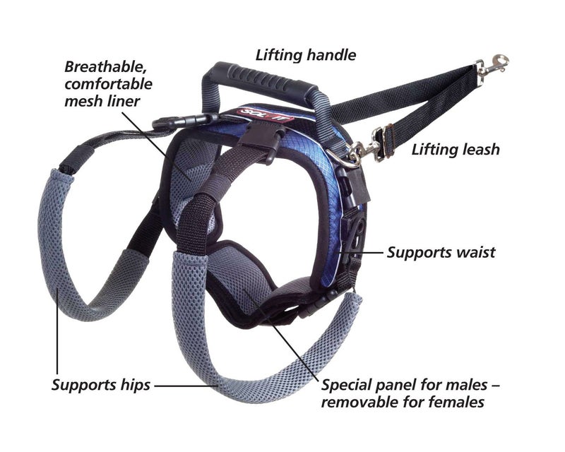 PetSafe CareLift Rear Support Harness - Lifting Aid with Handle and Shoulder Strap - Fits Waist Measuring 27-37 inches, Dog Weight 70lb-130lb, Large, Black - Image 4