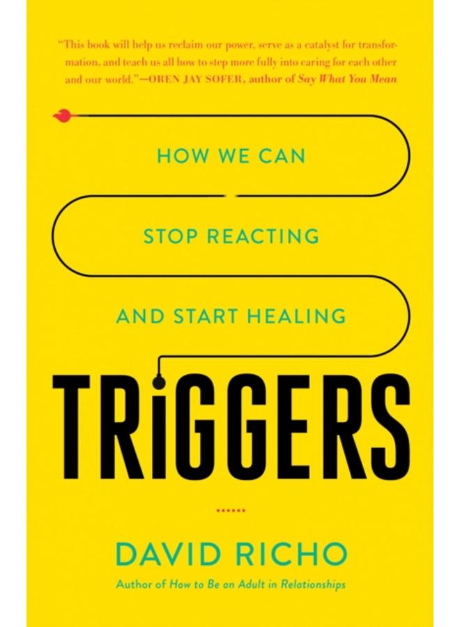 Triggers : How We Can Stop Reacting and Start Healing 