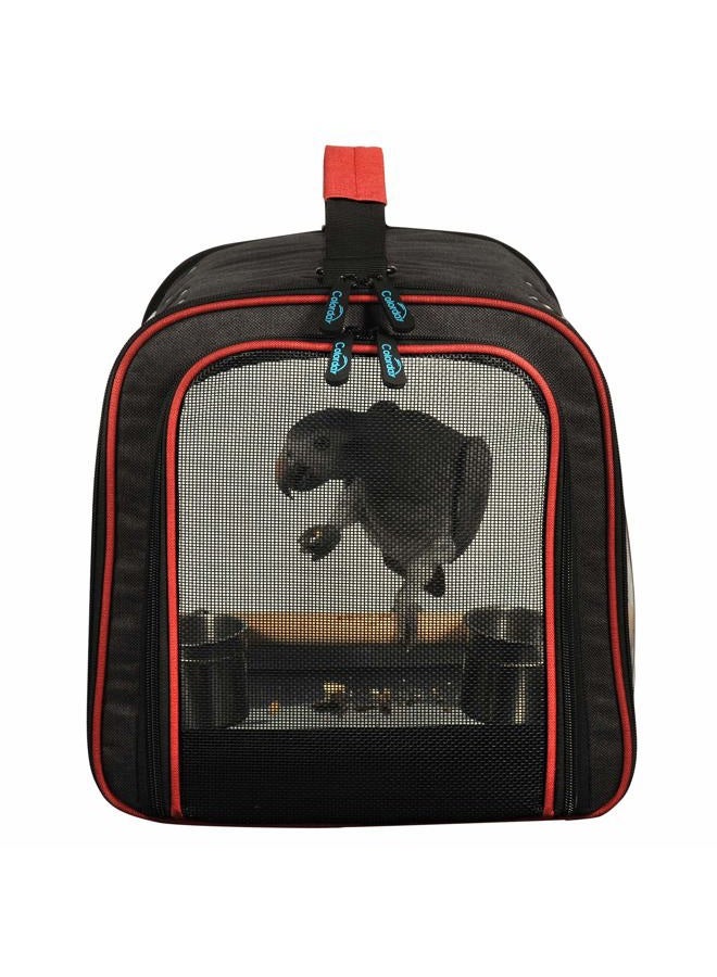 colorday Lightweight Bird Carrier, Bird Travel Cage (Large 19 x 12 x 13, Black) - Image 4