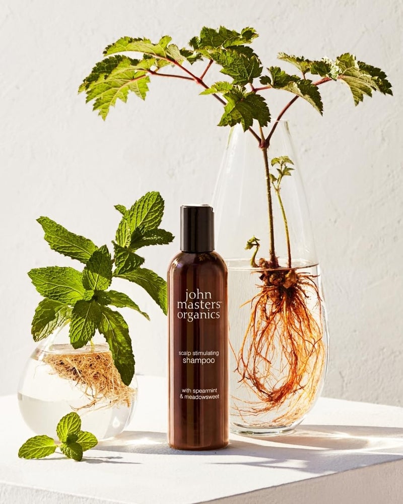 John Masters Organics Scalp Stimulating Shampoo 16 oz | Organic Spearmint & Meadowsweet | 70% Organic Ingredients | Clarifying Shampoo | Improve Scalp Health | Sulfate-free, 16 Fl Oz - Image 2