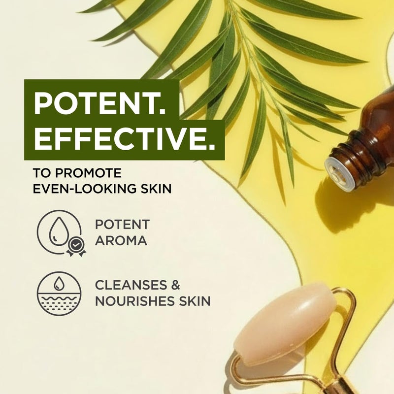 Gya Labs Australian Tea Tree Essential Oil - 0.34 Fl Oz - for Hair, Skin, Diffuser, Aromatherapy & DIY Candle Making Scent - Image 3