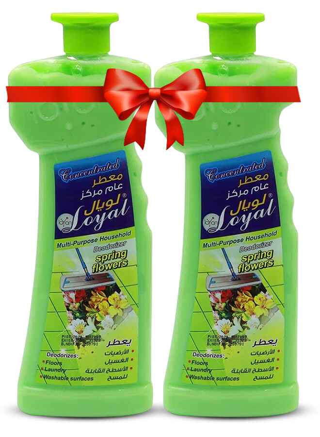 لويال جل مركز مزيل للروائح المنزلية متعدد الاستخدامات، برائحة أزهار الربيع، 2 × 700 مل