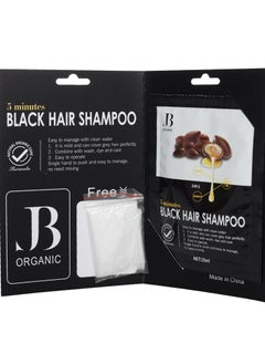 Black Argan Oil Hair Dye Shampoo 25Ml - pzsku/Z28E4044354A28EBC8AE0Z/45/_/1660400361/7d59ce35-6012-4550-a0dc-03368d41e083