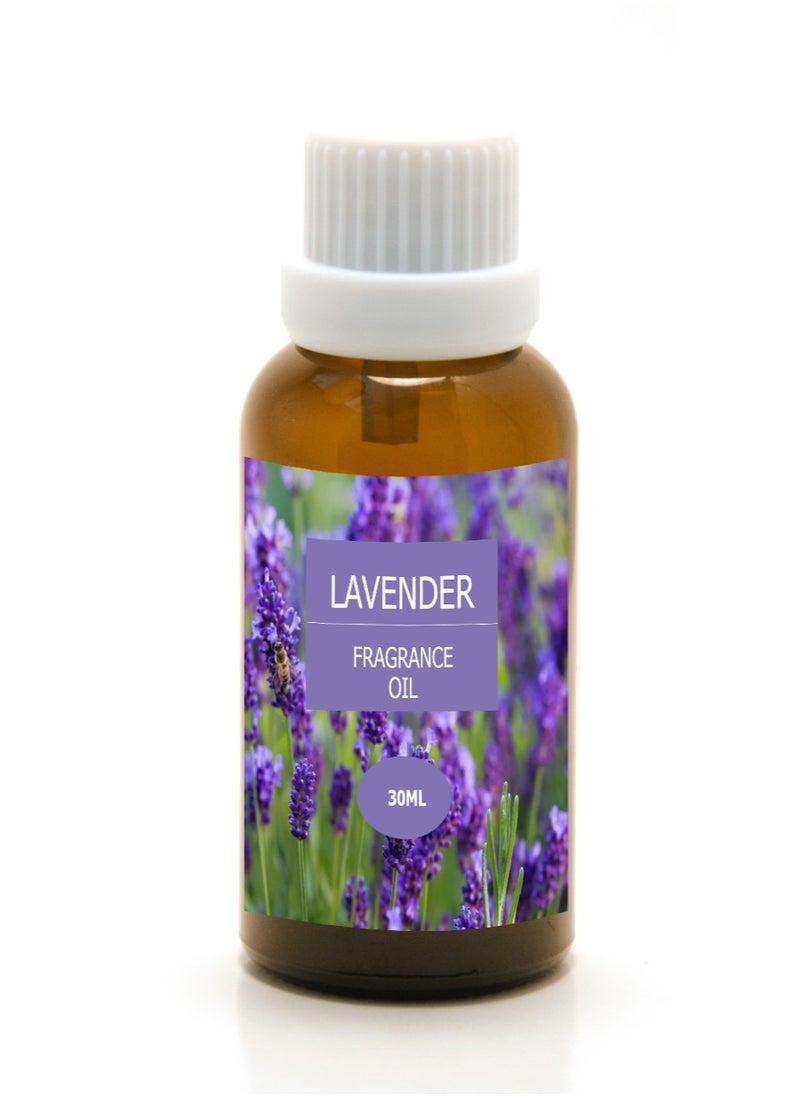 Home Fragrance Oil Lavender 30ML - pzsku/Z28E5351B39B1737D1A68Z/45/1742429356/dd0a08d4-40e7-49b8-ad89-b17972190663