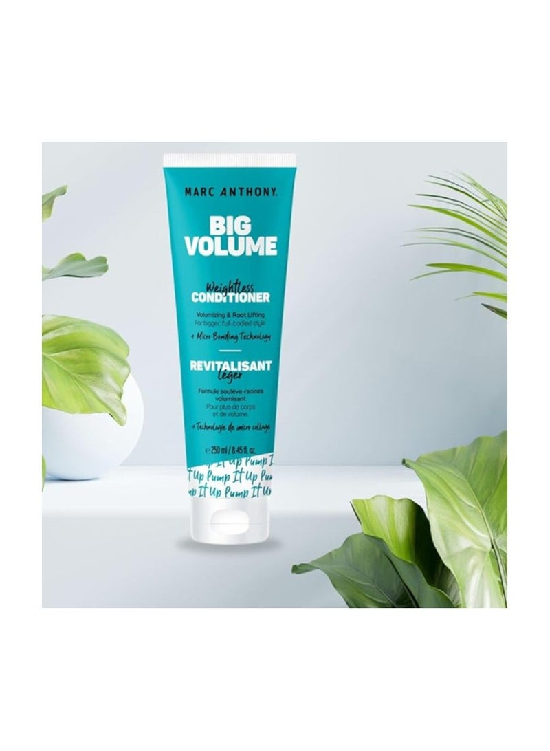 MARC ANTHONY DREAM BIG VOL THICKENG CONDITIONER 250ML:006469 - Image 5