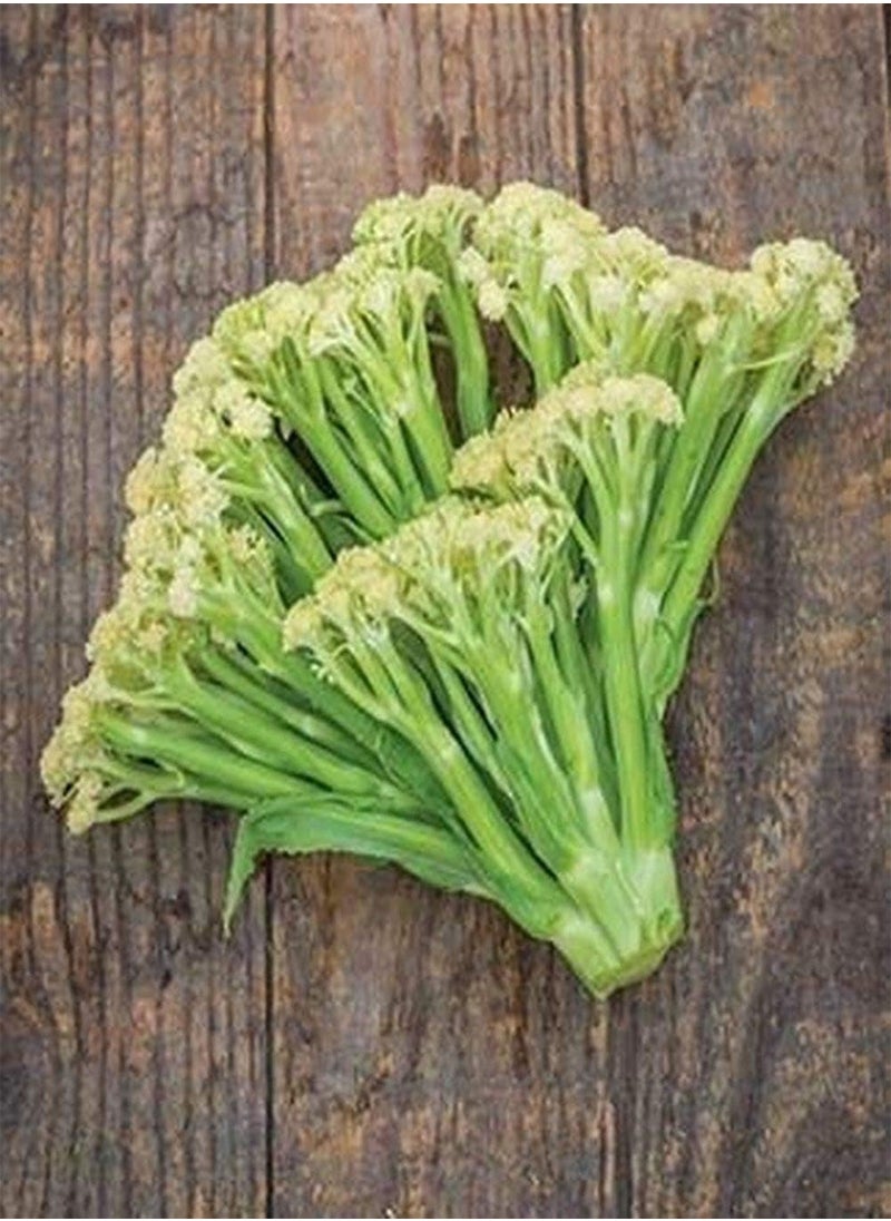 70 Pcs Cauliflower Seeds Garden Planting Vegetable Seeds Non-GMO Strong Growth High Yield Seeds