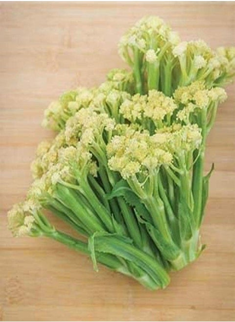 70 Pcs Cauliflower Seeds Garden Planting Vegetable Seeds Non-GMO Strong Growth High Yield Seeds