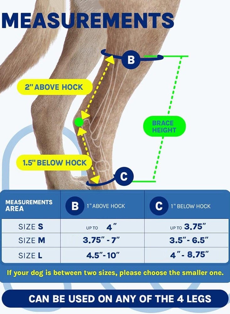 رباط ساق الكلاب بعد الجراحة والإصابات - دعامة وداعم للساق الخلفية وواقٍ للركبة - Image 4
