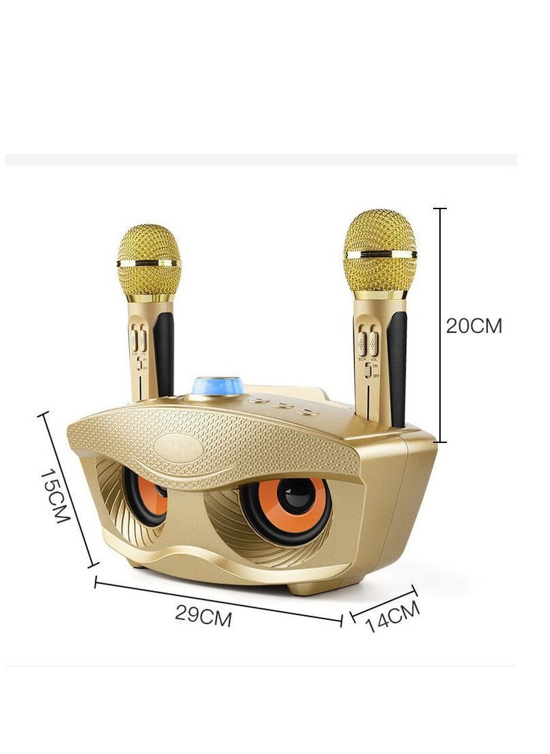 SDRD - Wireless Bluetooth Speaker With 2-Piece Mic Gold - Image 1