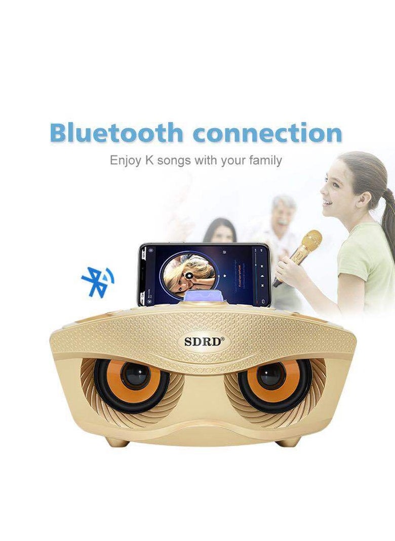SDRD - Wireless Bluetooth Speaker With 2-Piece Mic Gold - Image 1