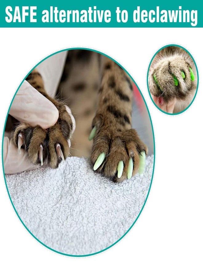 BohoBark Cat Nail Protector Colorful Covers | Pet Soft Safe & Anti Scratch Paw Claw Cap | 20 pcs Nail Care Cover for Cats and Dogs - (X-Small, Color May Vary) - Image 3