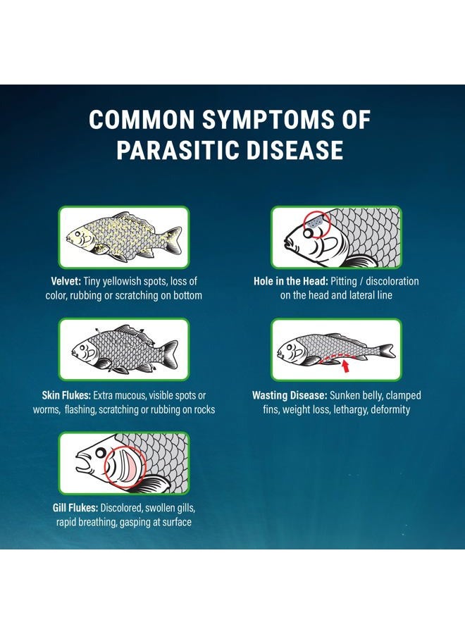 Fritz Aquatics ParaCleanse Provides Fast Relief from Parasitic Diseases (20-Count) - Image 4