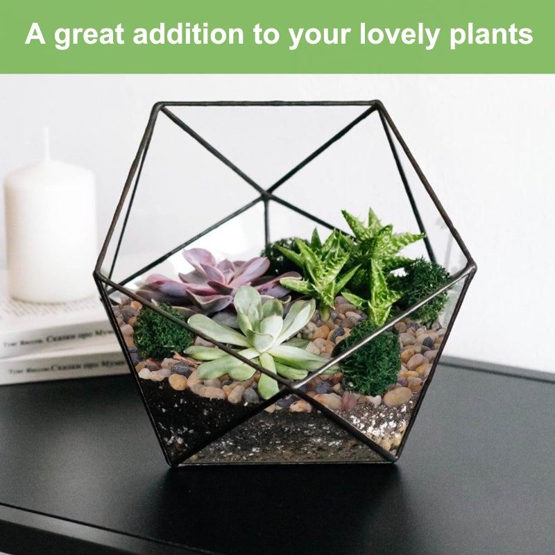 Pulovin 2.5 lbs Drainage Rocks for Potted Plants, 1/5 Inch Small Pebbles for Indoor Plants, Decorative Gravel for Vases, Bamboo, Succulent, Terrarium, Crafts, Cactus - Image 5