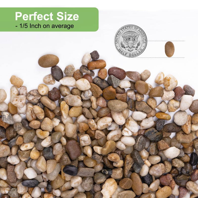 Pulovin 2.5 lbs Drainage Rocks for Potted Plants, 1/5 Inch Small Pebbles for Indoor Plants, Decorative Gravel for Vases, Bamboo, Succulent, Terrarium, Crafts, Cactus - Image 2